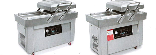 DZ-700/2SB